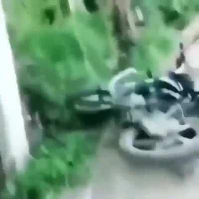 A summary of the last week for 🌈 🐻.