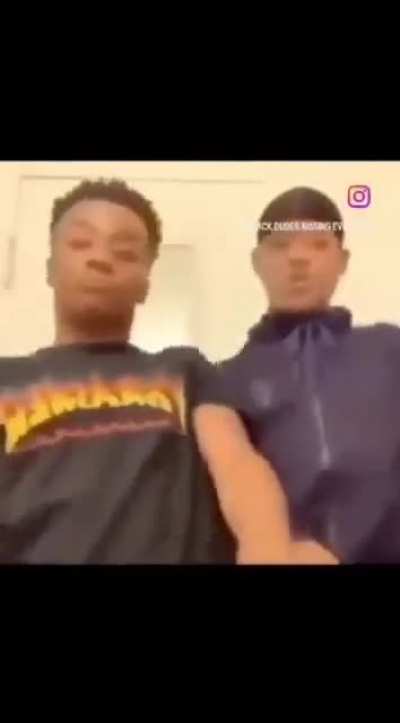 don pollo de romania