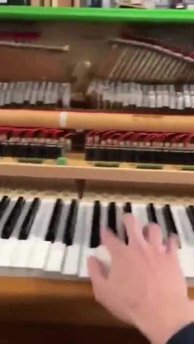 Electric piano from Wish