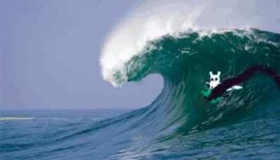 The ecosystem has gone too far