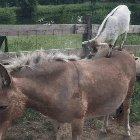 kids these days.....