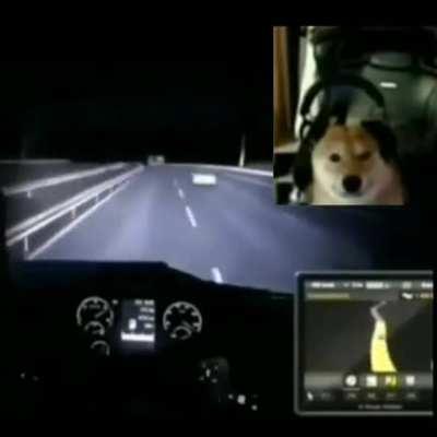 Alguém tem o link do vídeo do cachorro?