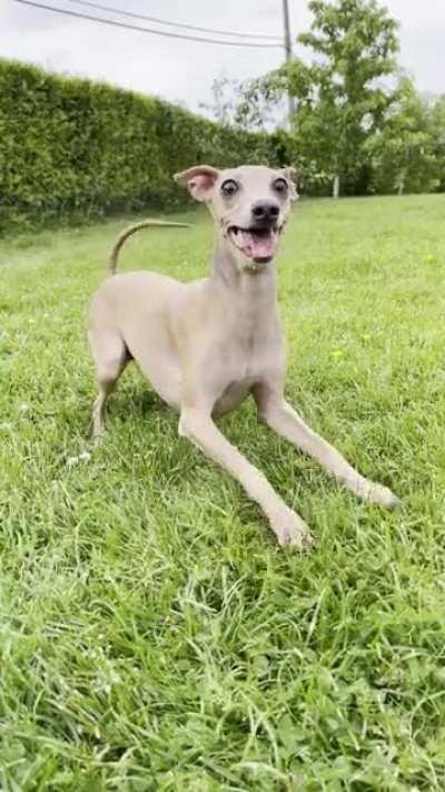 The anticipation before the throw