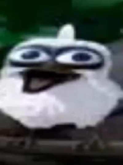 Algebros 🤪🤪😝