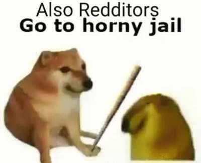 Redditors: Makes horny memes.