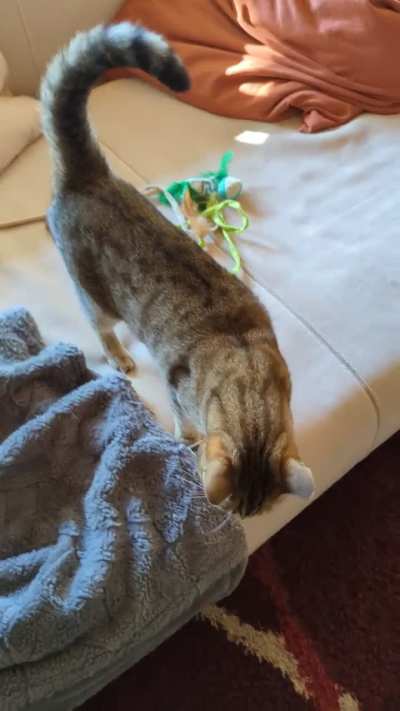 Suki is a true yapper