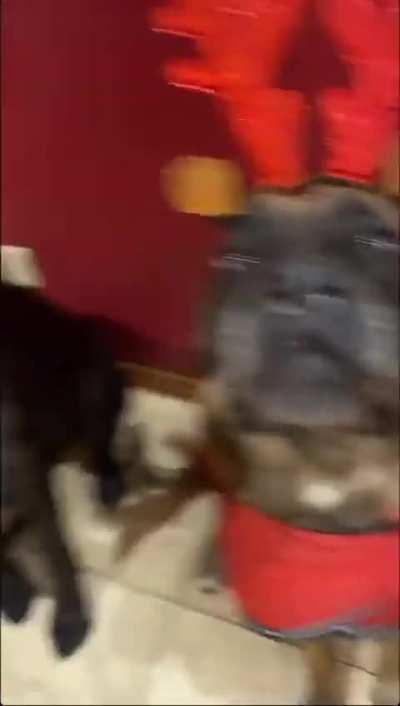 The best thing I saw today ♥️