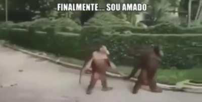 ORSLOK EN ÉSTOS MOMENTO