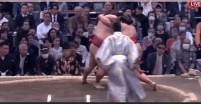 Grab your partner and around you go...