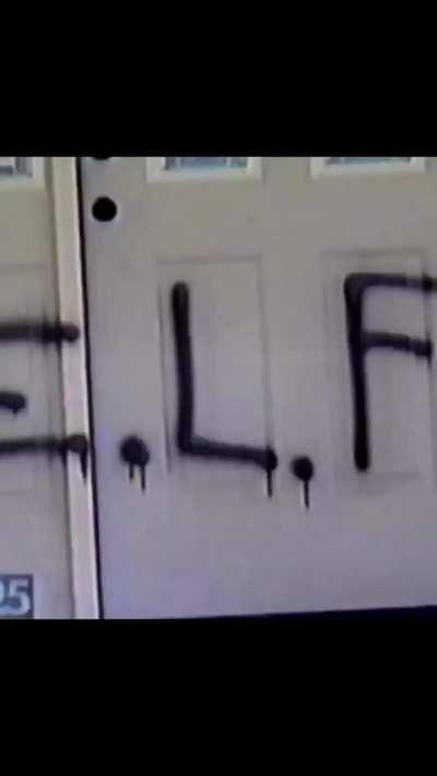 I wouldn't even hurt a fly