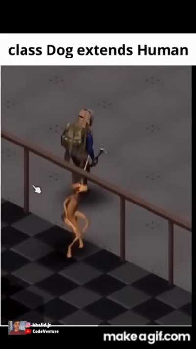 classDogExtendsHuman