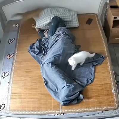 I wish this was my struggle every day ❤️