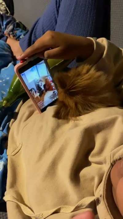 Ancestors are calling (possibly from behind the phone) 😅🤣🦊🧡