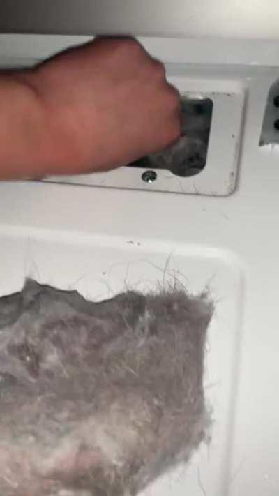 This could have started a fire, in other news, cotton candy