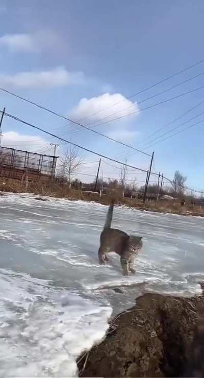 The backflip, a gymnast is born.