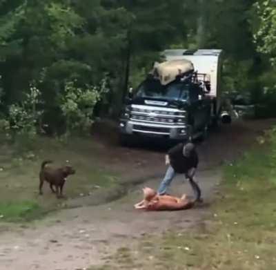 Guy saves his dog from mountain lion