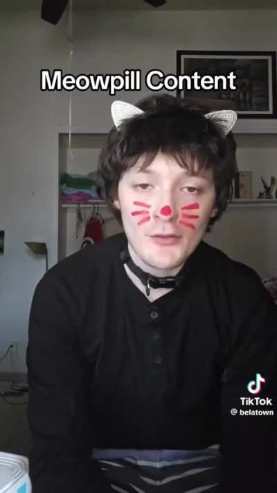 Meowpill Content 😼