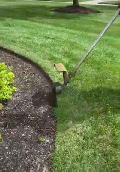 I mean what can I say? It's a self explanatory subreddit