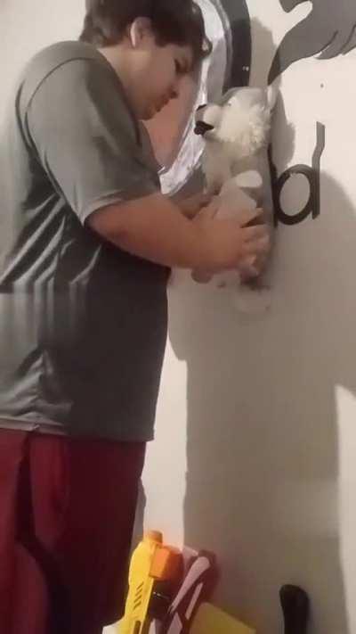 L-a inselat pe baiat