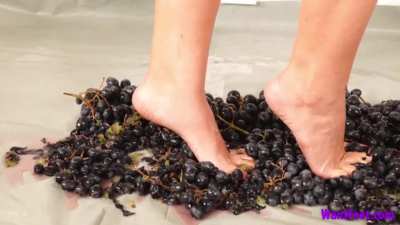 Grape Crush Fun