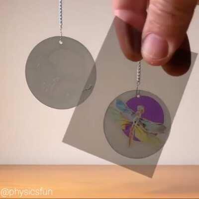 Variation of perceived colors depending on the polarization angle