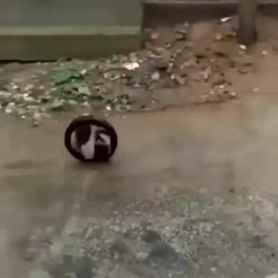 It's not a one way ticket samurai.