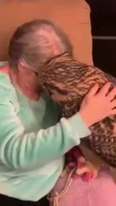 Гнев на милость