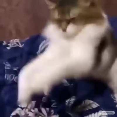 ePiC hANd To HaNd CoMbAt!! GoD LeVeL