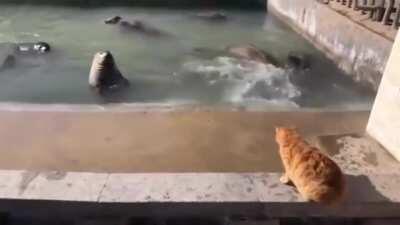 He didn’t want no smoke