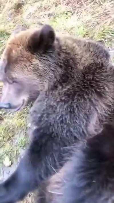 How it feels like to averaging down puts every single day