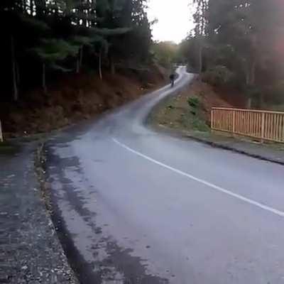 Going down the hill at full speed with your bike
