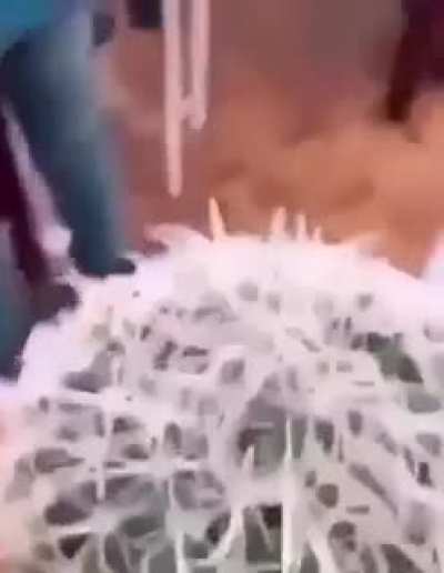 espero que no sea repost pero A