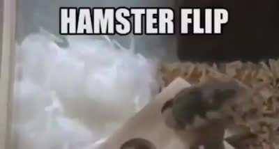 Hamster Flip