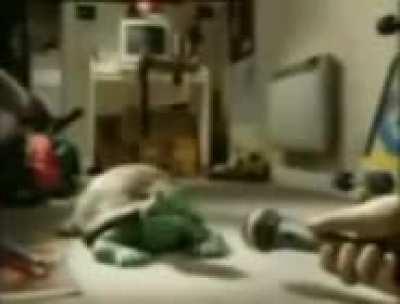 لا تدفع الضرائب لول poopman