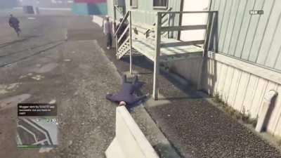 A very graceful landing