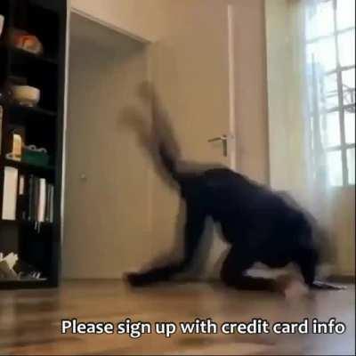 Everytime! Every god damn time