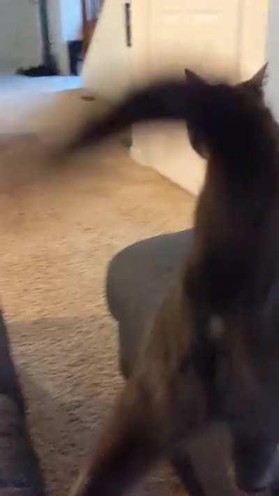 Hungry girl screams for dinner