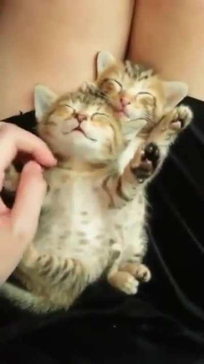 Yeah That Is The Spot