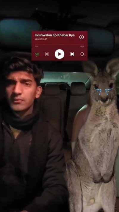 Indian fans on 29th june after India bottles under Wc