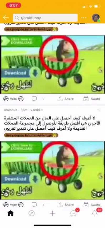 🐒🍉🍉🍉🍉🍉