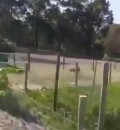 There's a glitch in the matrix.