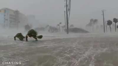 Hurricane Ian turns street into 🌊