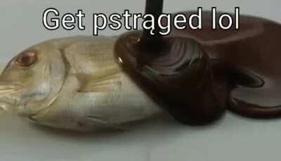 Posting random videos from my phone until I buy a new home button - day 45