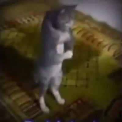 The original no kiss before marriage for whatever important reasons you may need it for