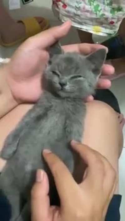 When you smell delicious food