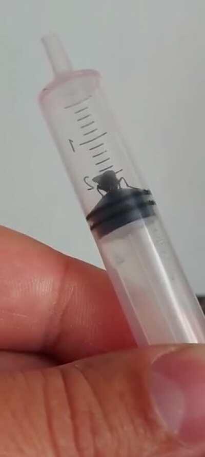 Dont touch animals..