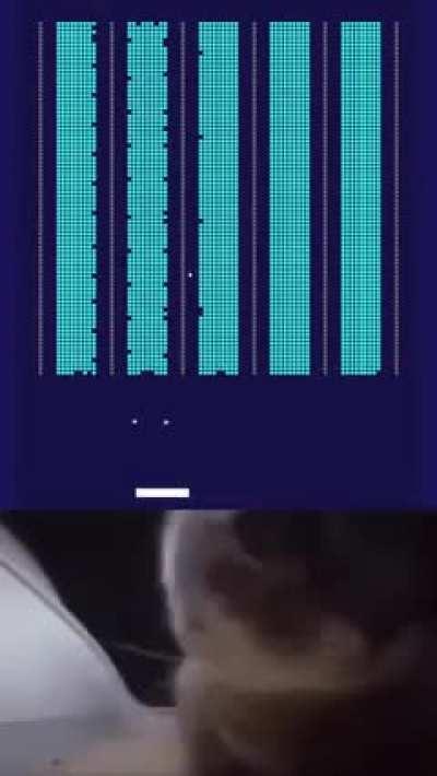 you're chipi chapa is: youtub shorts