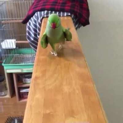 awww. such a cute lil burb. I should post this to r/aww.