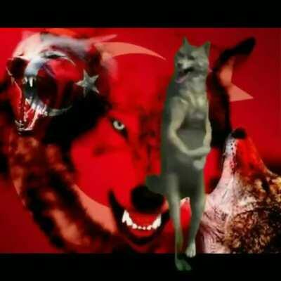 Yeni Amerika başkanını protesto etmek için bidon yuvarlarsın ( flair doğrumu )