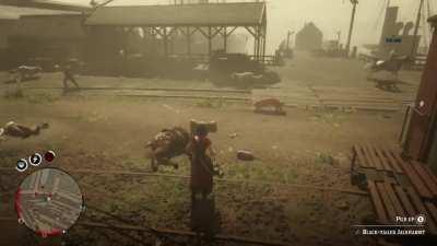 So I randomly picking flowers when suddenly every player and animal on the server teleported to Saint Denis...